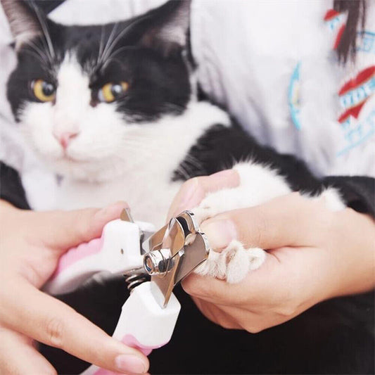 The Importance of Trimming your Pets’ Nail