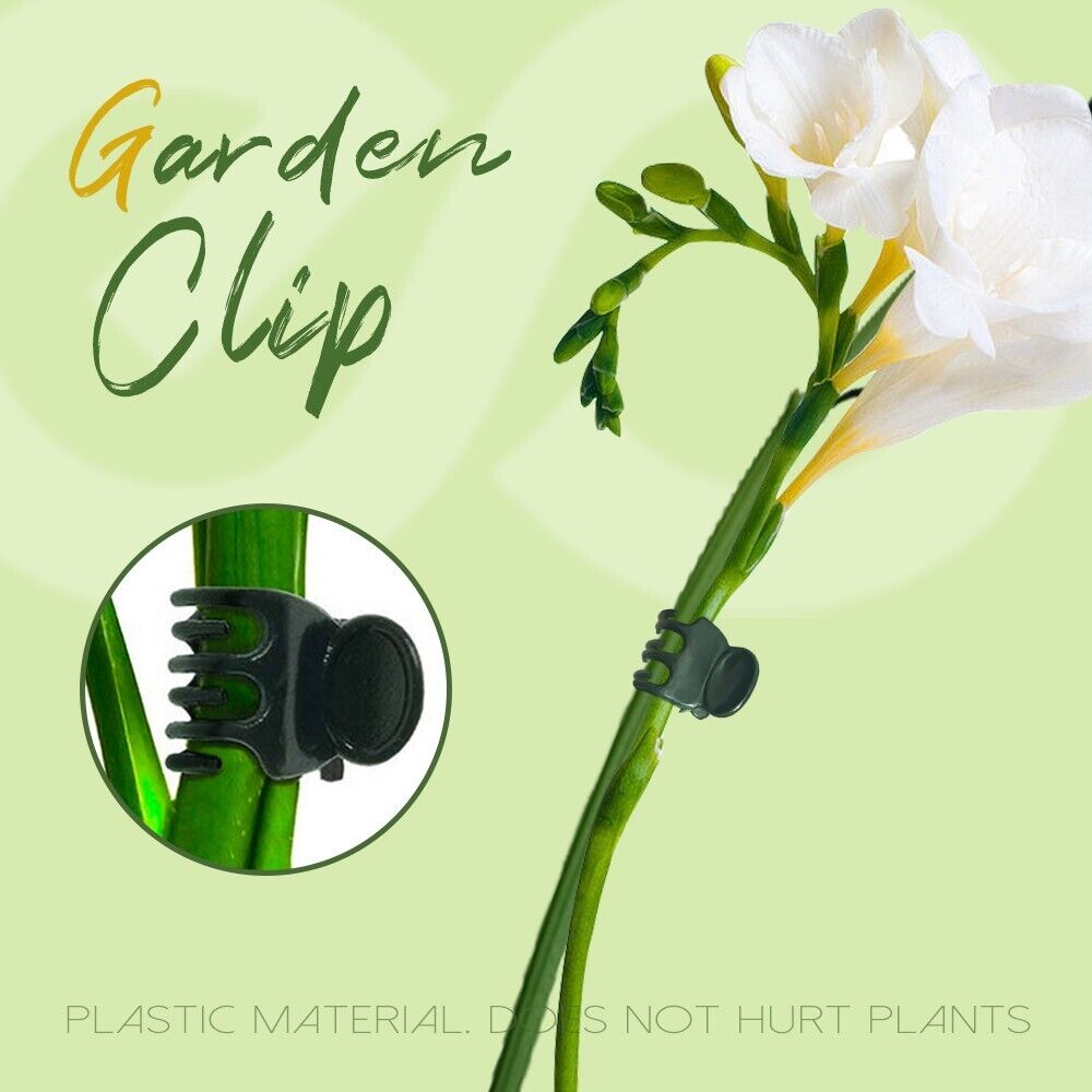 100PCS Plastic Orchid Plant Clips