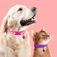 Adjustable Pet Collar & Bell