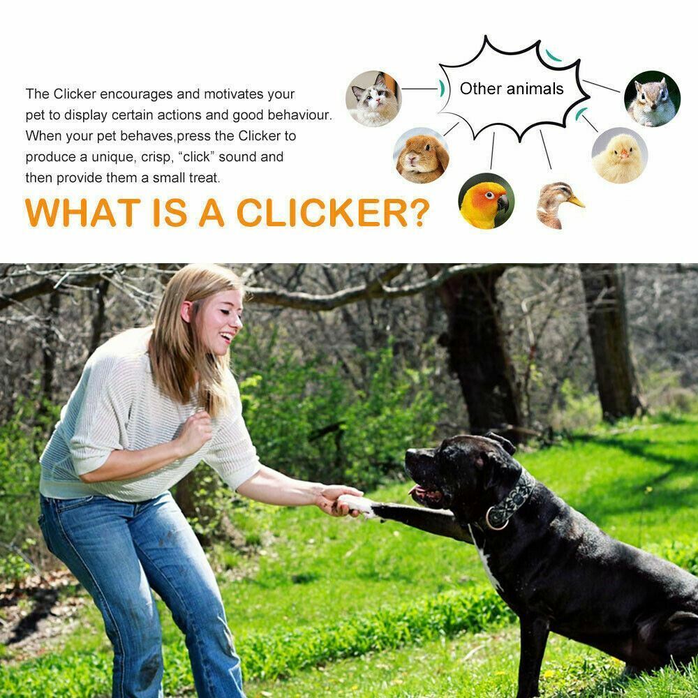 Dog Training Whistle Clicker