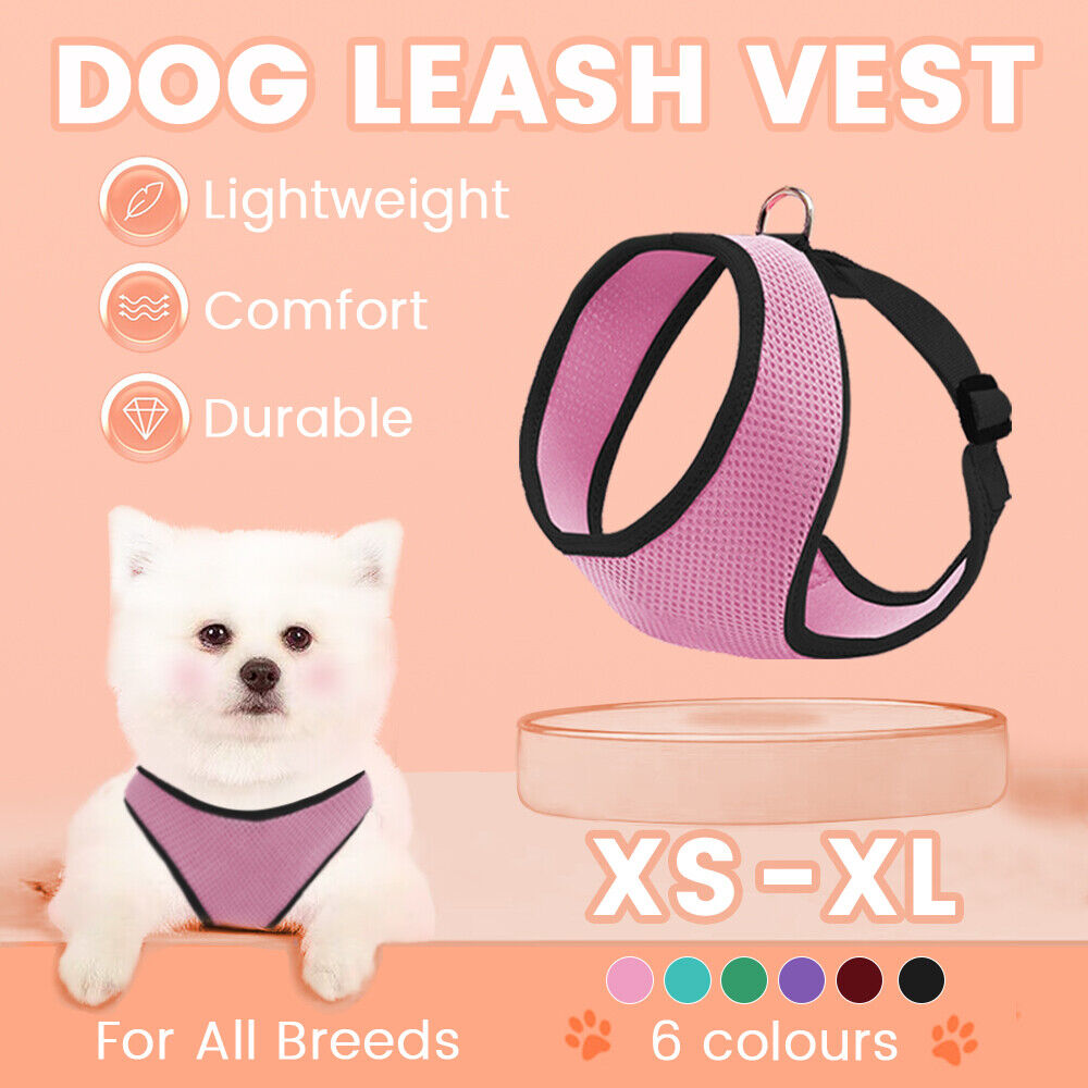 Pet Adjustable Mesh Leash Vest