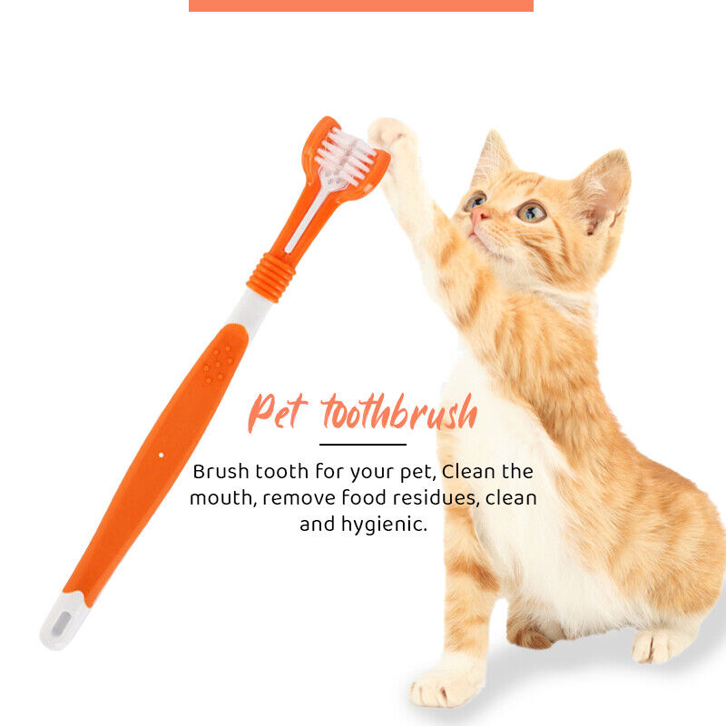 Pet Oral Care Toothbrush