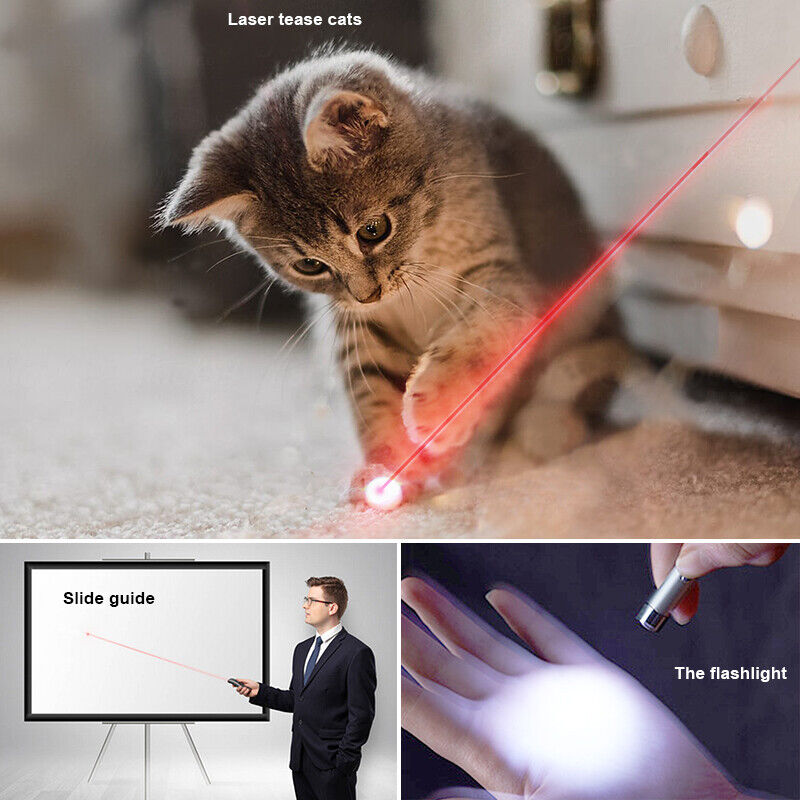 Pet Toy Laser Pen