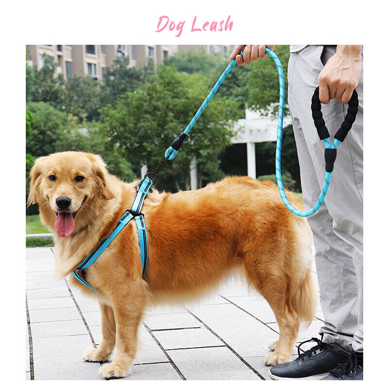 Nylon Dog Training Rope